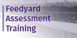 Feedyard Assessment